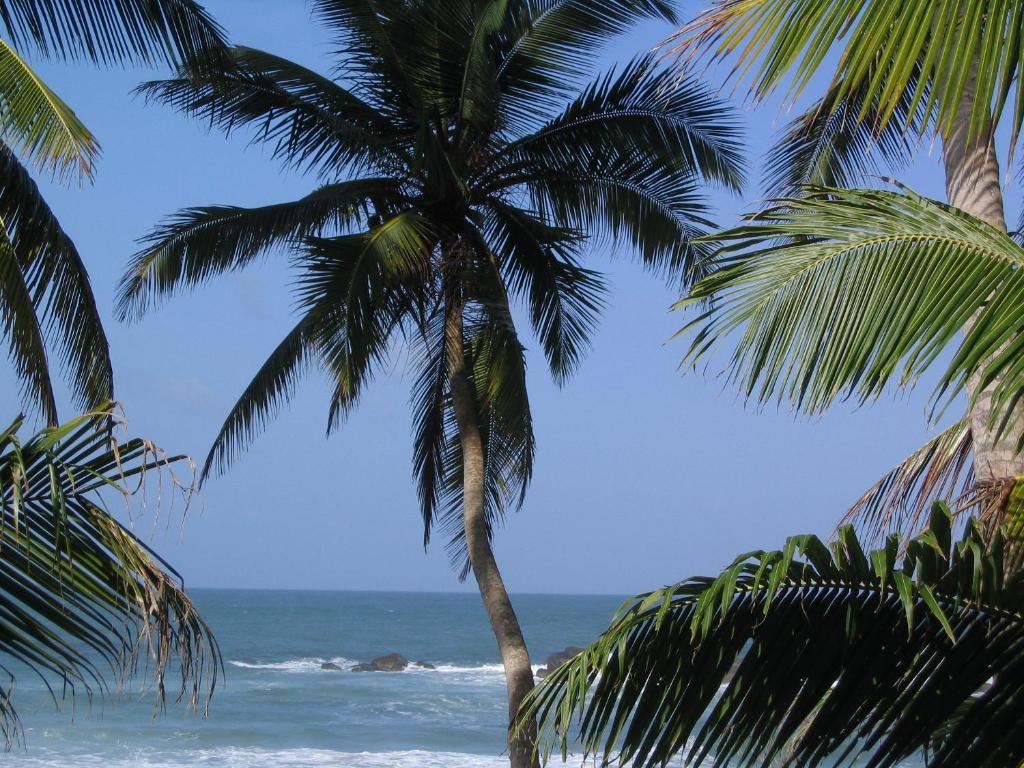 Unawatuna Beach House Eksteriør billede